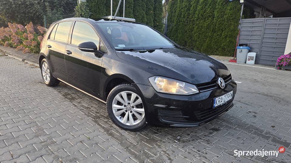 Volkswagen Golf 7 2015r BlueMotion Salon 1 Zarejestrowany w Polsce Kraków