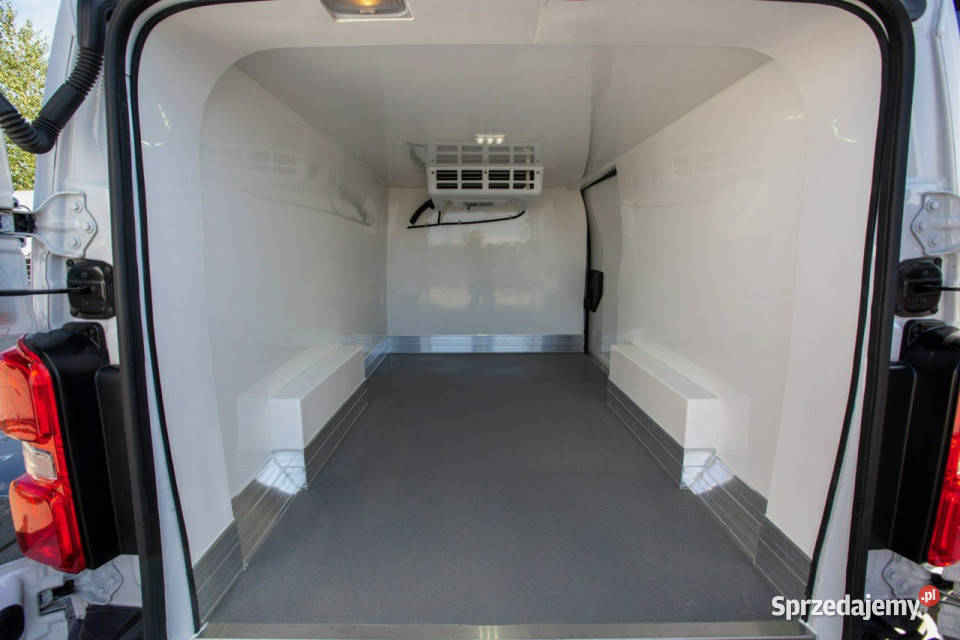 Fiat Scudo 20 L3H1 LONG Nowa Chłodnia 0C Fiat Jarocin