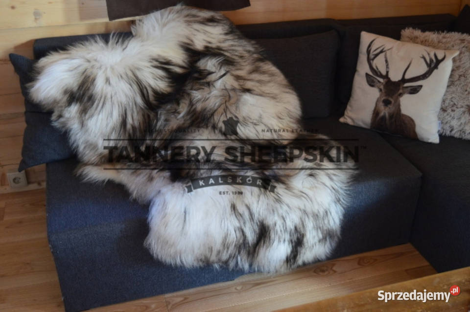 Skóra Owcza Island Muflon BiałoCzarna XXXXXL małopolskie Szaflary