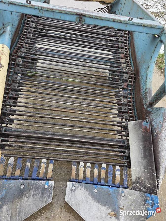 Kopaczka elewatorowa dwurzedowa do ziemniakow Samborzec sprzedam