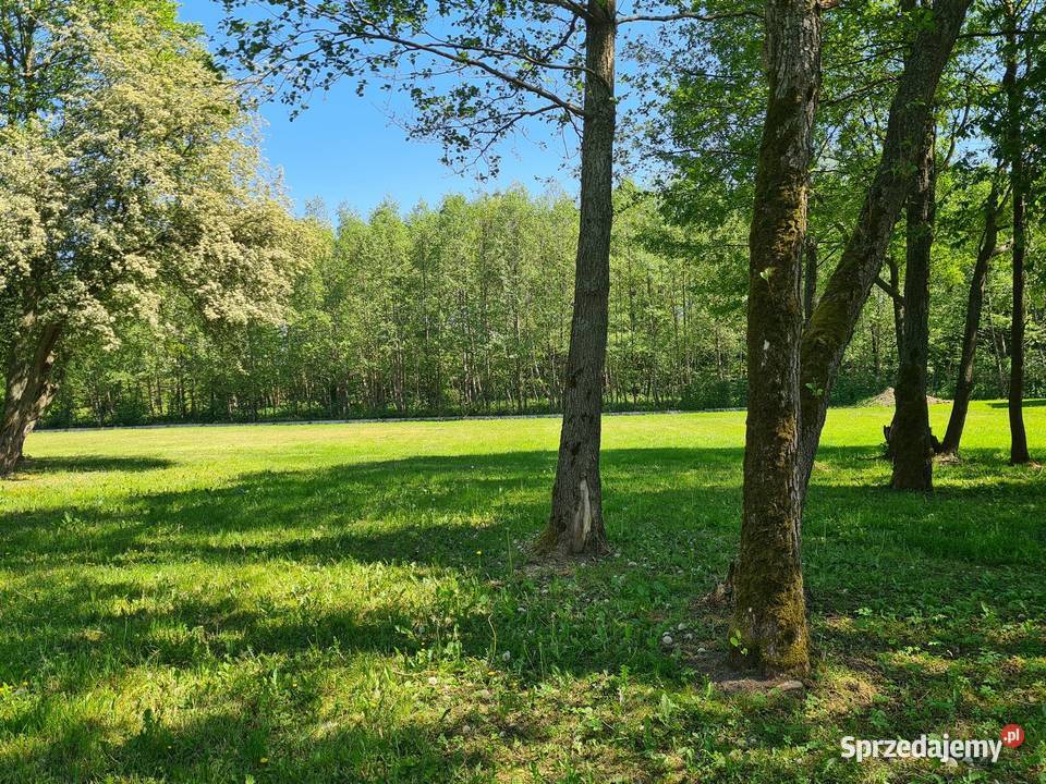 Na szlaku Budowlana z mediami Sprzedaż warmińsko-mazurskie Harsz