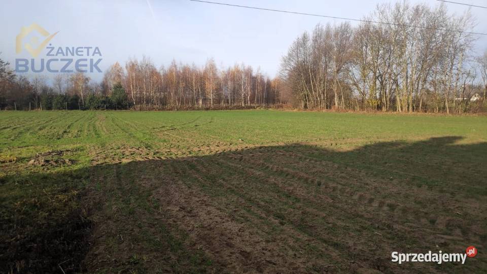 Sprzedam działki budowlanousługowe w Lubiejewie mazowieckie Lubiejew