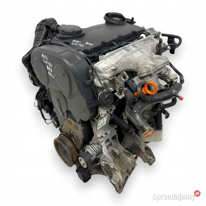 SILNIK BRE Audi A4 B7 A6 C6 20 TDI 140 diesel Chełm