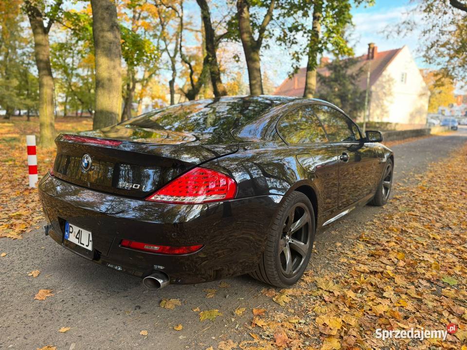 BMW Seria 6 BMW Seria 6 E63 V8 650 i 2008 nieuszkodzony wielkopolskie Pleszew