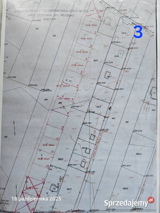 Jezioro Białe Glinki Okuninka Orchówek Włodawa Sprzedaż