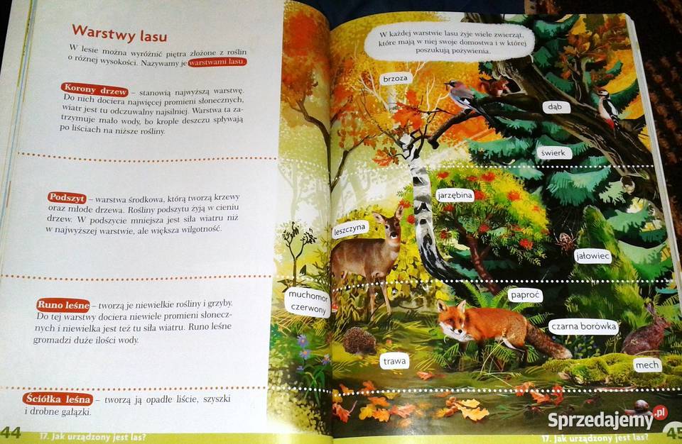 Tropiciele Podręcznik Klasa 3 Część 1 Kultura i Rozrywka Chełm