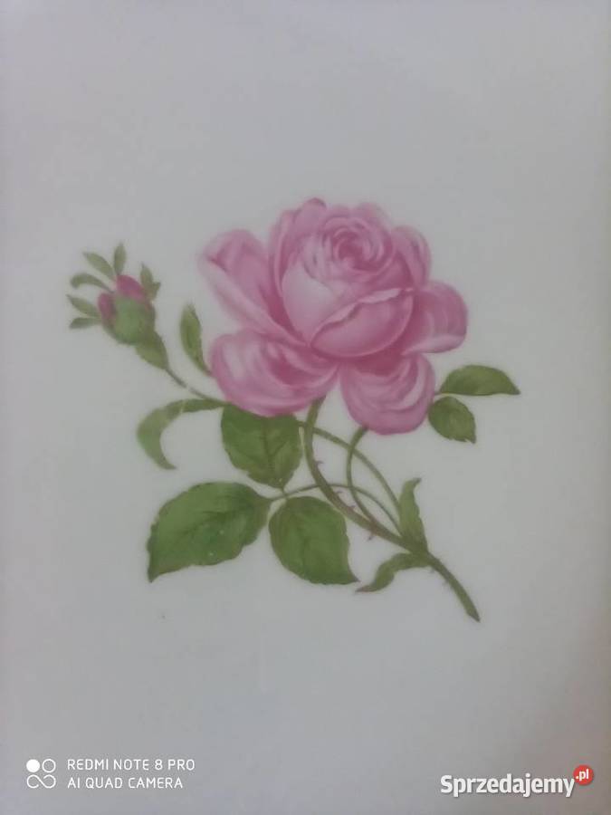 Patera z bordową różą
Na białej porcelanieSyg Porcelana i szkło Gdańsk