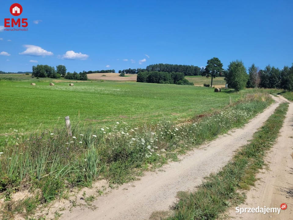 sprzedaży gruntu Dobra Wola 3669m2