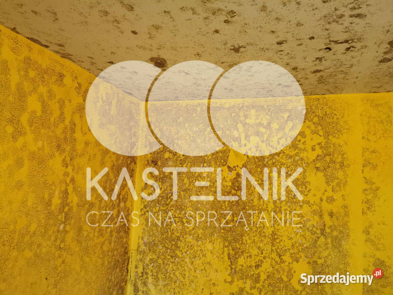 Odgrzybianie ścian Nowa Dęba Kastelnik Usuwanie podkarpackie