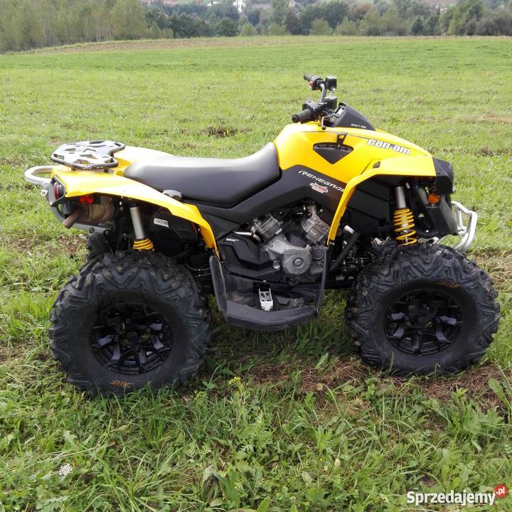 Can am renegade g2 800