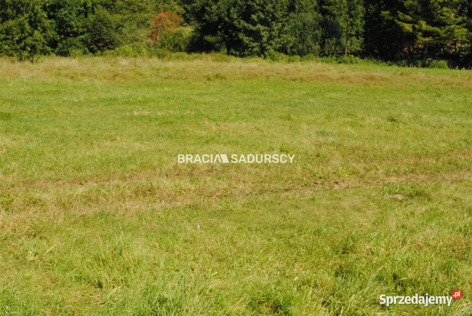 Działka Gdów 8670m2 Sprzedaż