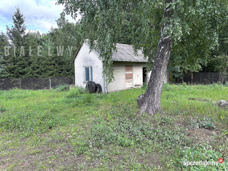 Lokal 800m2 Mrozy Sprzedaż