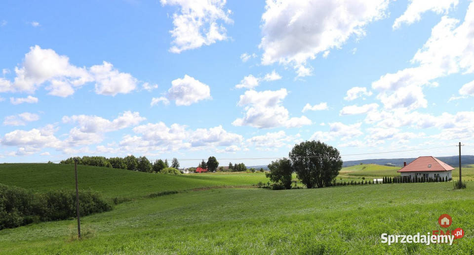 Działka 3003 metry Olszanka budowlana