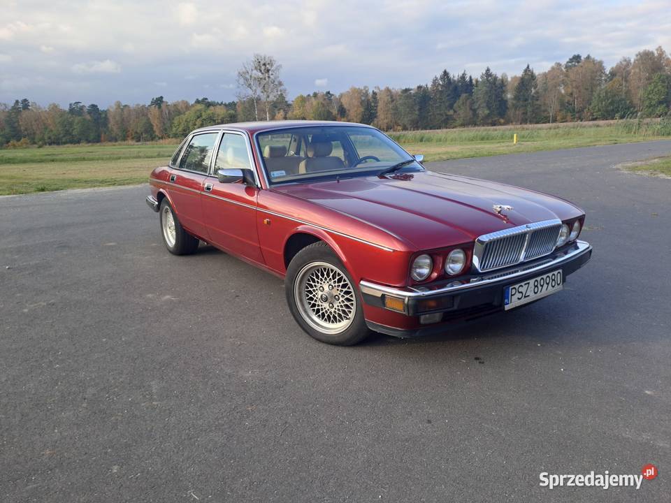 JAGUAR DAIMLER XJ81 V12 poduszka powietrzna