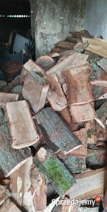 Drzewo dębowe opałowe Opał Lublin