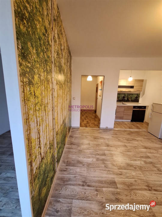 Mieszkanie 34m2 Rybnik parter