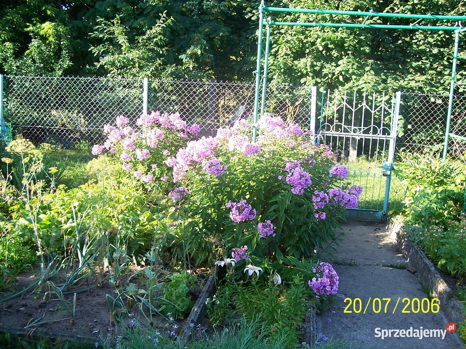 Sprzedam działkę ROD Jaroszówka Białystok