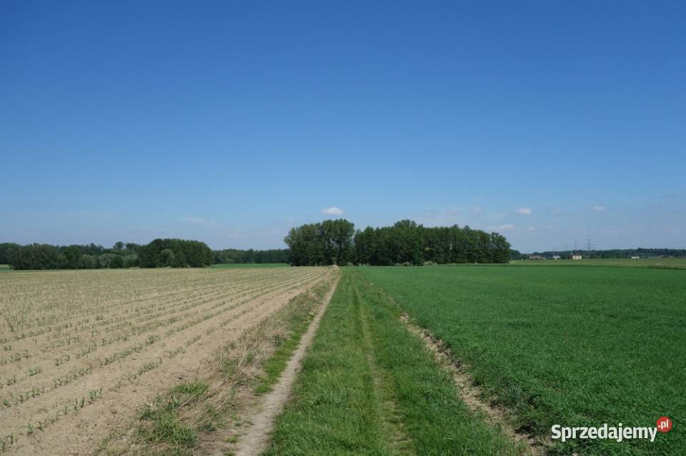 Skoczów Pruchna 115ha pod stadnine zabudowe lux