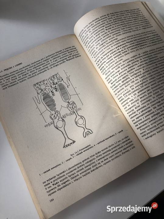 PODSTAWY CYTOFIZJOLOGII Kawiak Osięciny