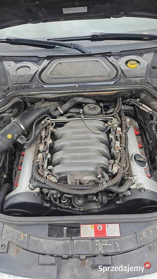 Audi A8 D3 42 Bfm Lpg Quattro wielkopolskie Wieleń