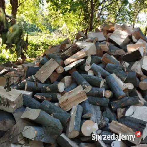 Drewno opałowe Buksosna Zamość