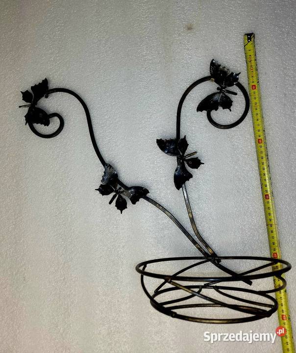 Kwietnik metalowy Motylki małopolskie Kąśna Górna