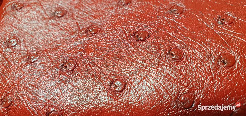 Torebka damska skóra naturalna skóra strusia dolnośląskie