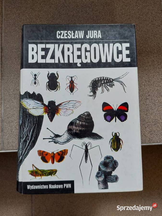 Książka Bezkręgowce podstawy morfologi