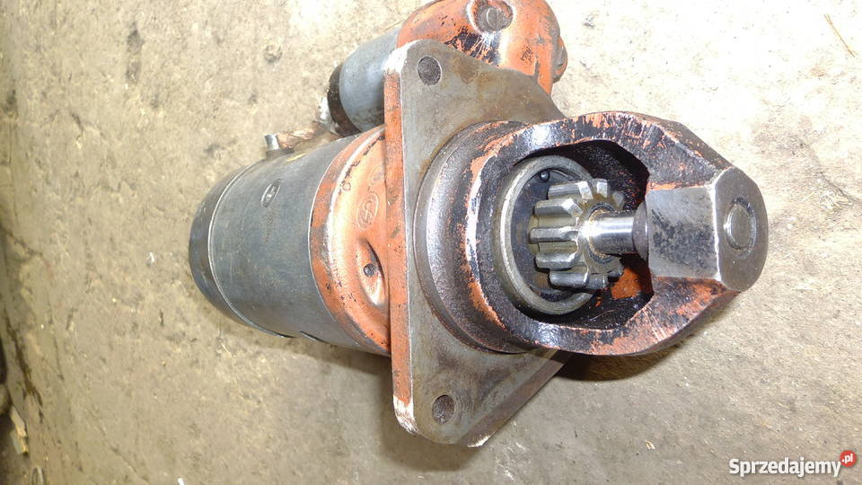 rozrusznik bizon Izbica