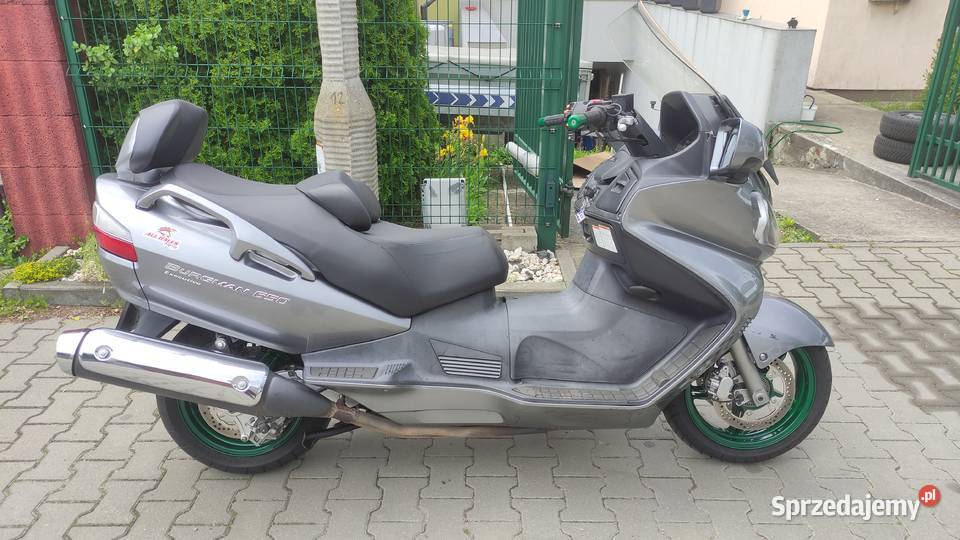 Suzuki AN 650 Burgman Toruń
