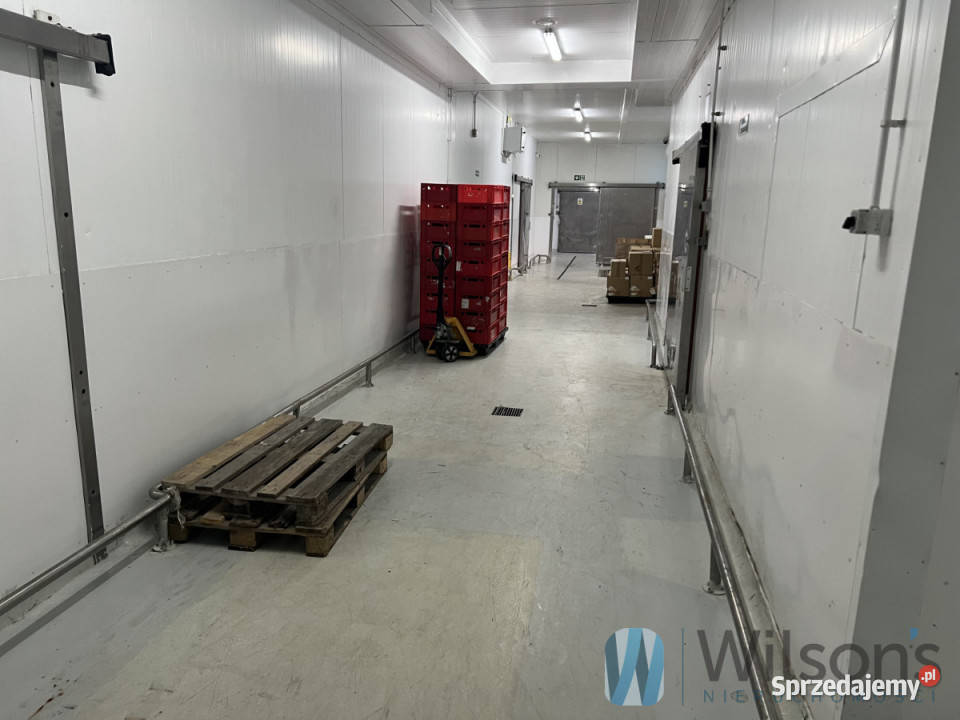 Lokal 2000m2 Nowe Lipiny 2000m2