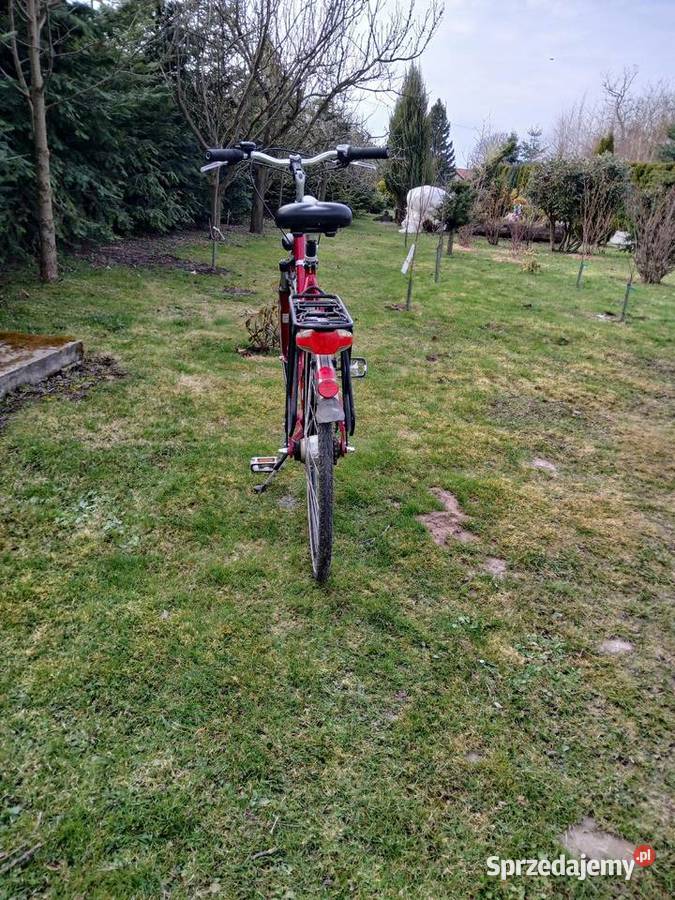 Rower Pegasus Opatów