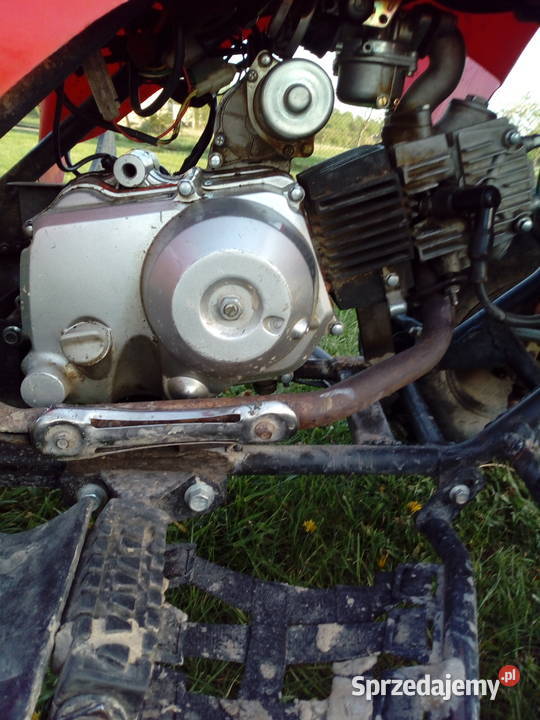 quad 125 Nowy Dzików sprzedam