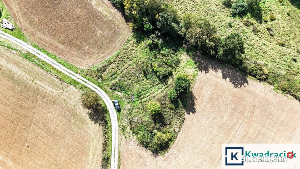 Grunt Brzeziny 1250m2 podkarpackie