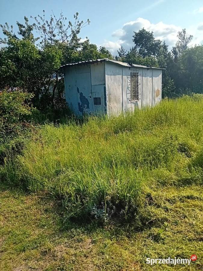 Usługi ogrodniczesprzątanie działek lubelskie Lubartów sprzedam