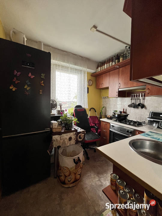 Sprzedam mieszkanie w Toruniu 36m2 Toruń
