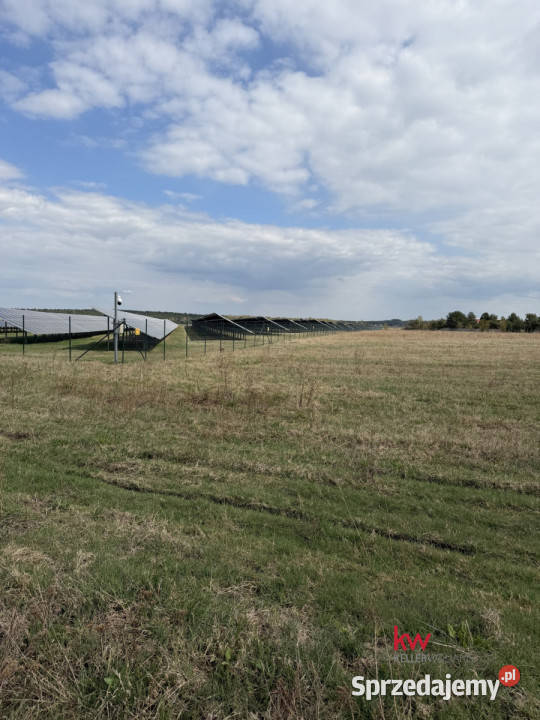 sprzedaży działki Piasek 22471m2