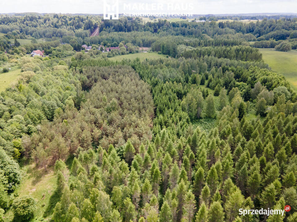 Grunty leśne i rolne 17 ha z miejscem na warmińsko-mazurskie