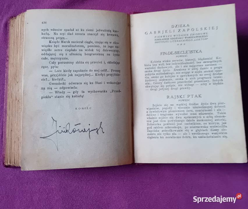 Gabriela Zapolska Przedpiekle Lektor 1923 r Wyd Koźminek