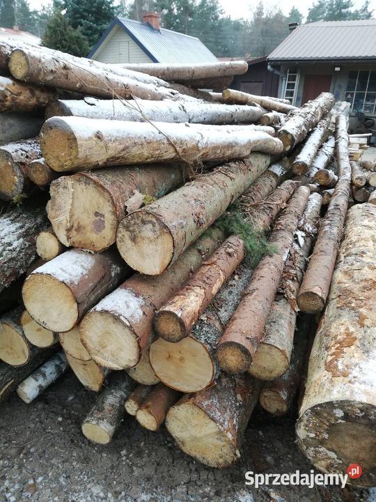 Brykiet drzewny dębowy 500 Supraśl