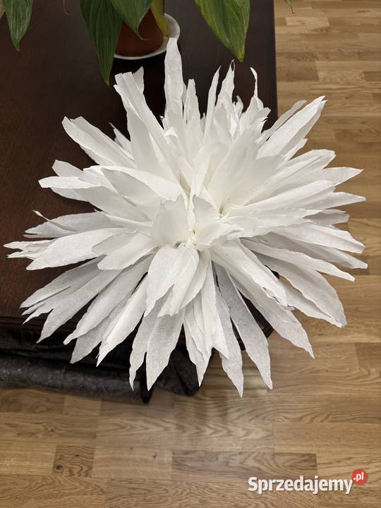 Wykonam kwiaty z bibuły Lipnica Murowana