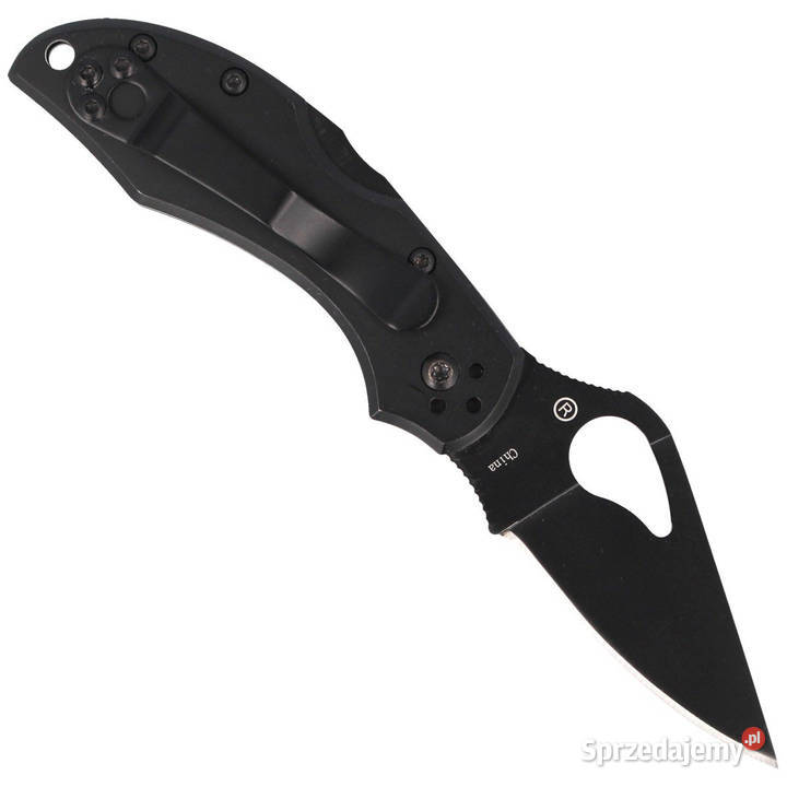 Nóż składany Spyderco Byrd Robin 2 Stainless Warszawa