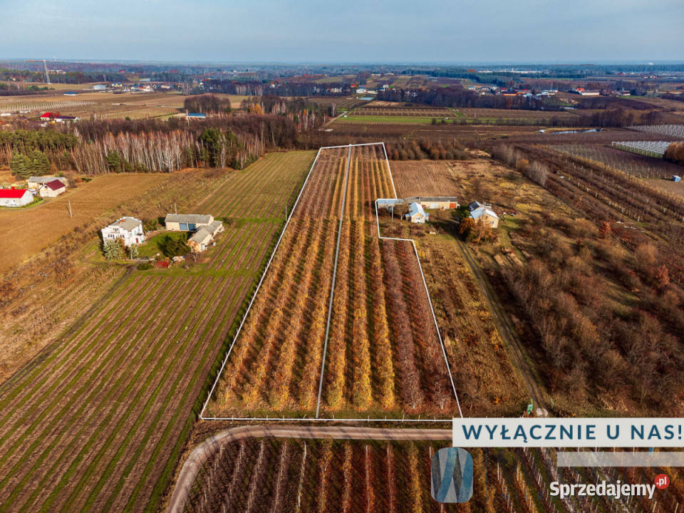 Działka 21802m2 Michrów Sprzedaż