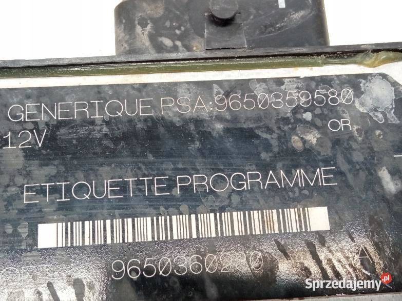 STEROWNIK SILNIKA 9650360280 9650359580 Peugeot świętokrzyskie