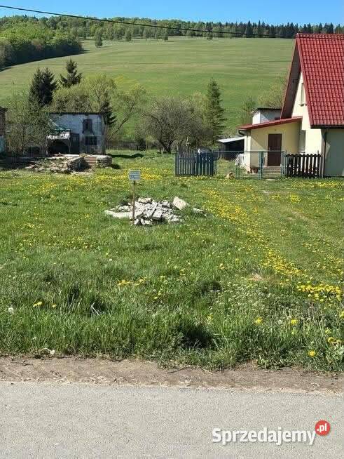 Działka budowlana z dostępem do rzeki 235 ara 2350m2 Ożenna sprzedam