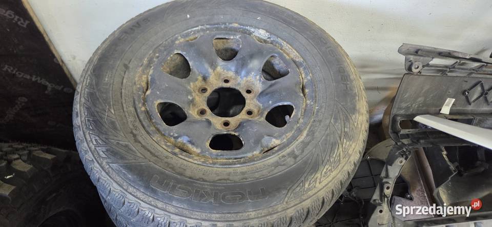 Koła zimowe nissan terranonavara Wrocław