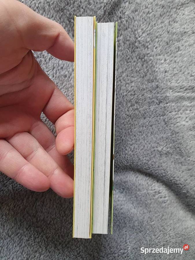 Wish Clamp zestaw 2 tomów wydanie 1 2004 Rok wydania 2004 pomorskie Gdynia