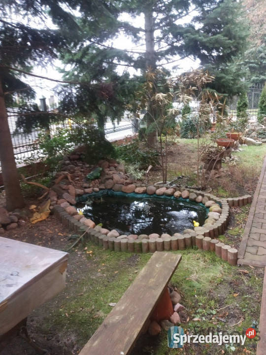 Mieszkanie 65m 2 pokoje Radom Ks Prof Wynajem