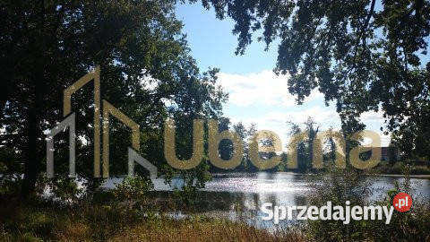 Duża działka pod agroturystykę Maszewa Radzanek sprzedam
