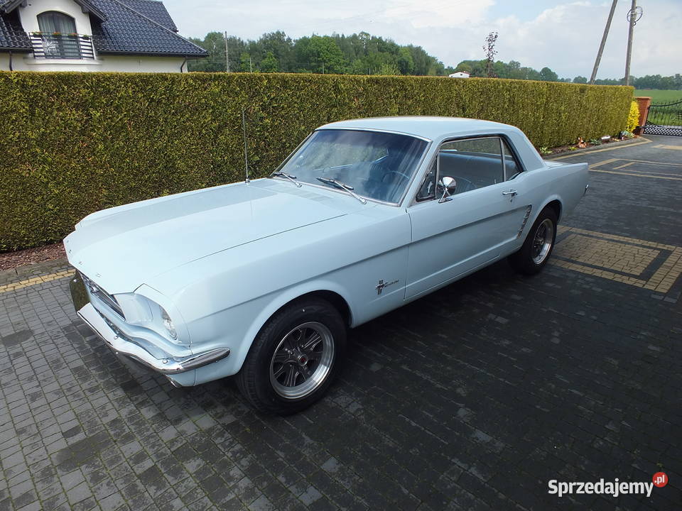 Auto Do Ślubu Wesele Ford Mustang ŚLĄSK Golasowice